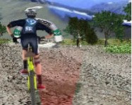 3D Mountain Bike online