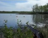 Duck shooter online
